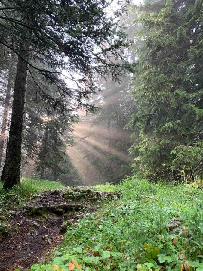 Vikendica Borje Villa Zabljak  Bagian luar foto