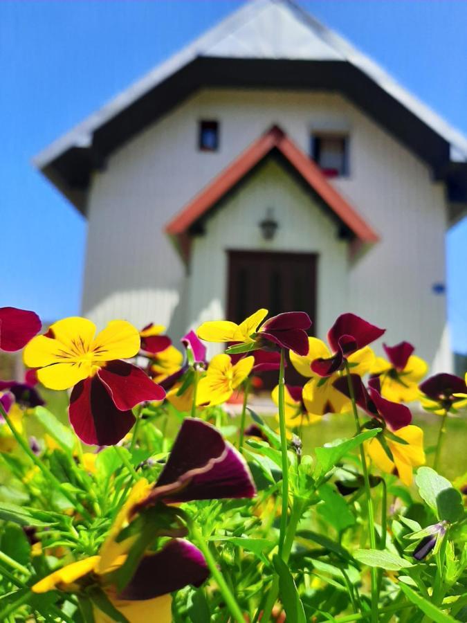 Vikendica Borje Villa Zabljak  Bagian luar foto