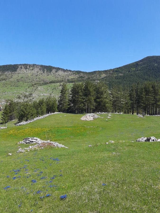 Vikendica Borje Villa Zabljak  Bagian luar foto