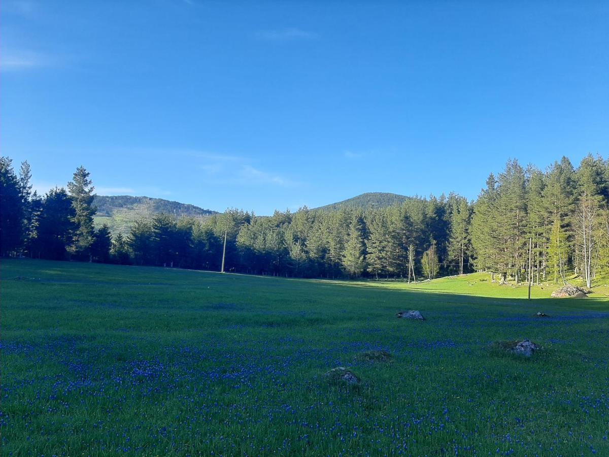 Vikendica Borje Villa Zabljak  Bagian luar foto